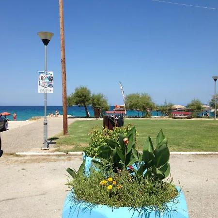 Summer Den Plus *